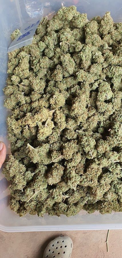 Meat Cannabis storefront