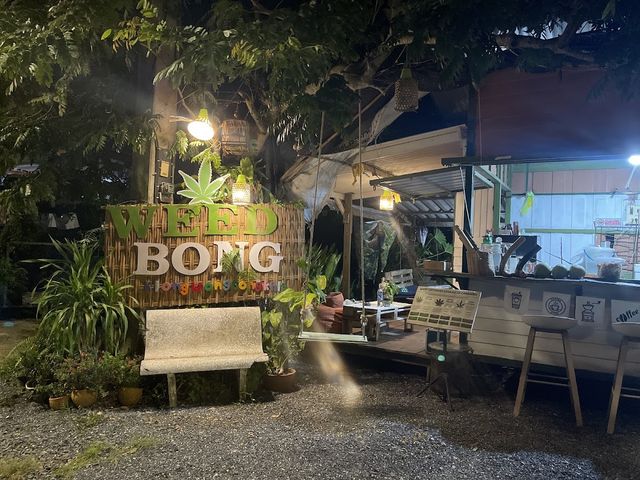 WEED BONG Klongwong Songkhla , 大麻, 雑草, Onkruid, Mauvaise herbe, Сорняк storefront