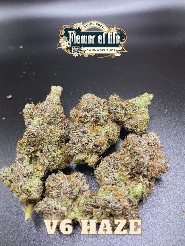 Sweed-D Cannabis shop(ร้านกัญชา) storefront