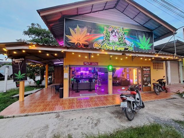 ดร.เปื่อย Cannabis ร้านขายกัญชา storefront