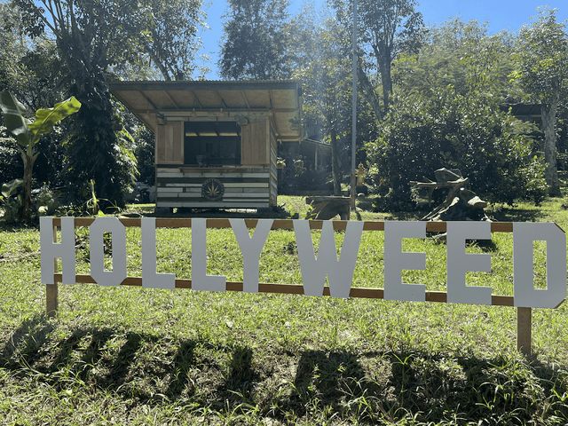 HollyWeed Cannabis Cafe storefront
