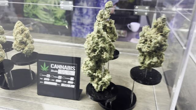 Bella Chao Cannabis Shop | 100฿ for 1G | Kata - Karon | Weed Dispensary | Lounge | Coffee Shop | storefront