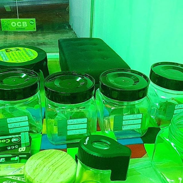 PONG CANNABIS STORE storefront