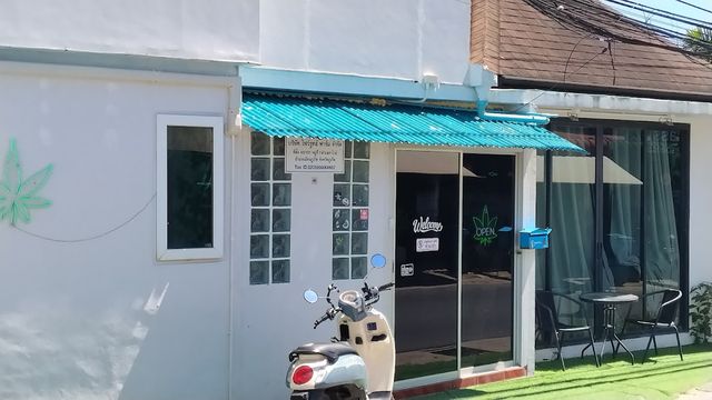 OPEN 24 HOURS WHOLESALE JUNGLE CLUB 2 CANNABIS RAWAI/PHUKET storefront