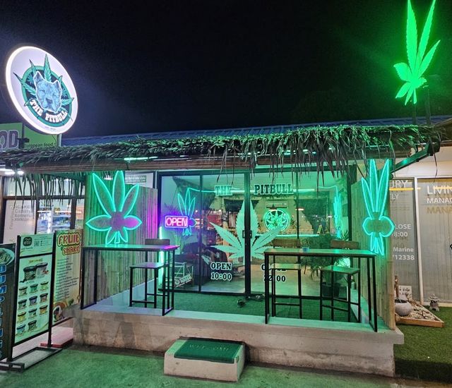 The pitbull cannabis dispensary storefront