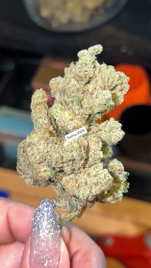 Tungfun Cannabis Shop storefront