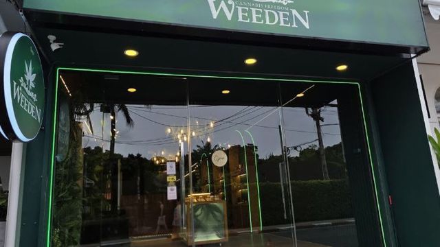 We Weed Cannabis storefront