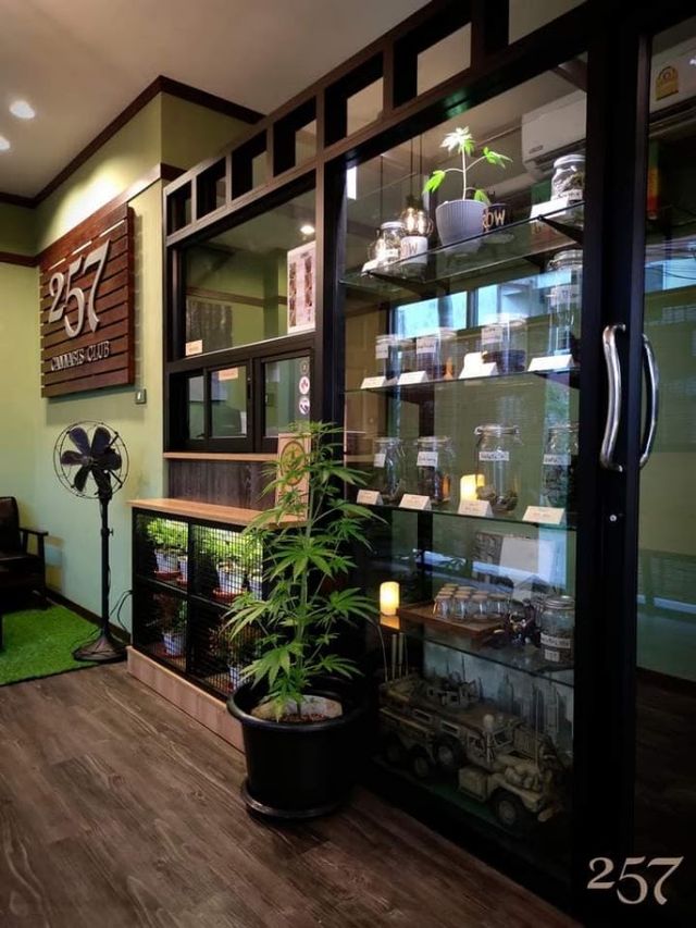 257 Cannabis Club storefront