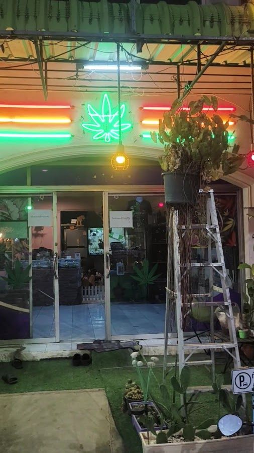 Jungle Pig cannabis shop storefront