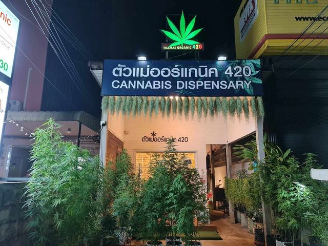 Tuamae Organic420 ตัวแม่ออร์แกนิค420 (Weed Shop) storefront