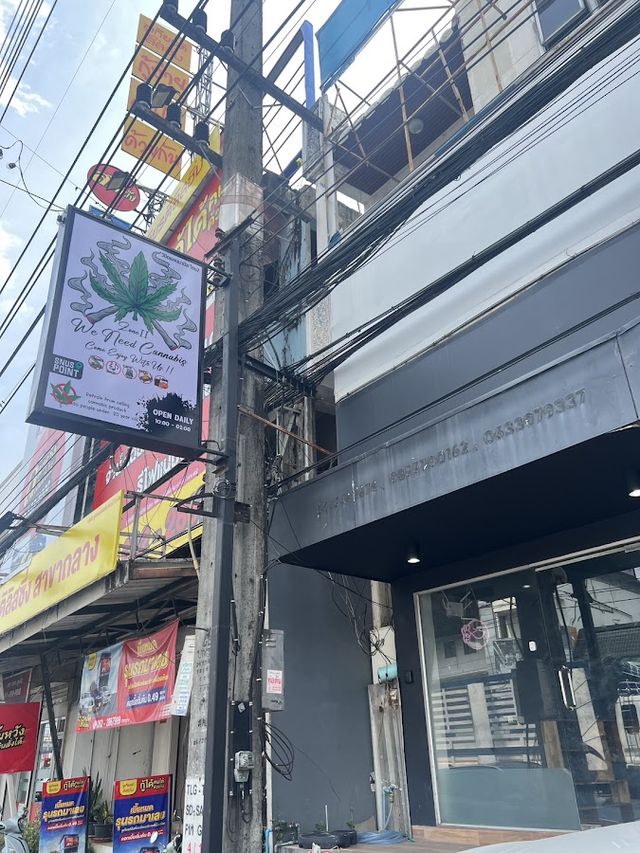 We Need Cannabis Zone 2 storefront