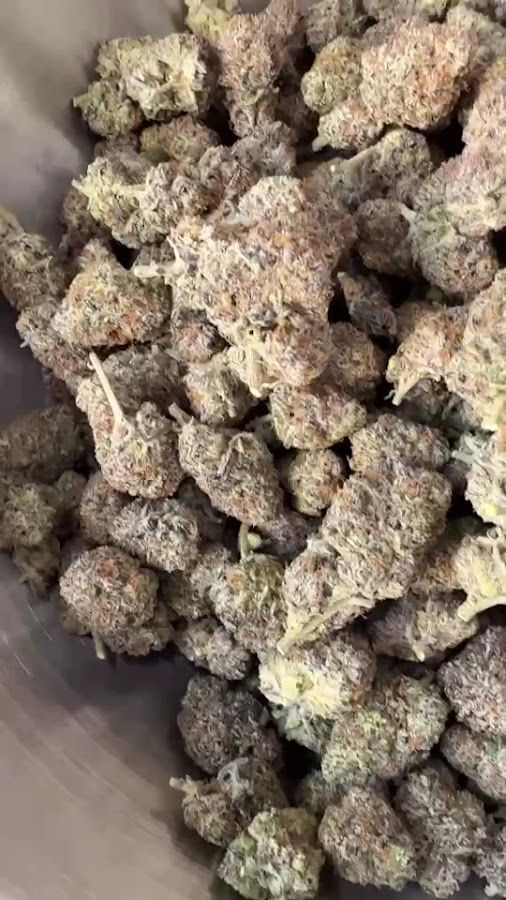Good Day | Medical Private Cannabis Clinic storefront