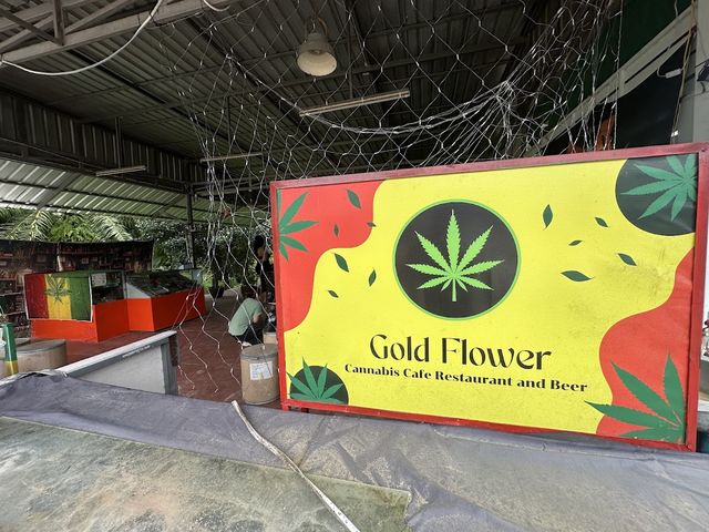 Weed Cannabis Gold flower Thailand | Cannabis cafe | open 24 hour if not sleep storefront
