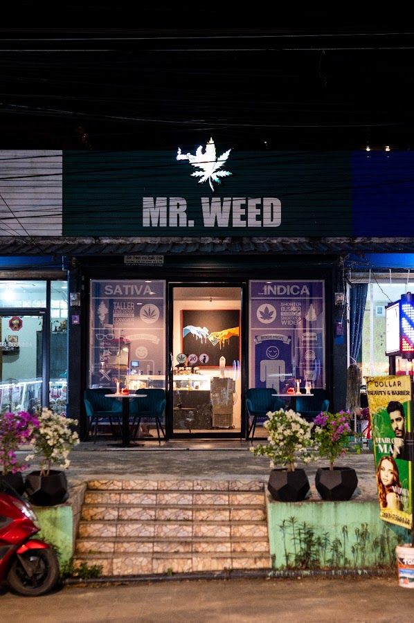 MR.WEED storefront in Phuket
