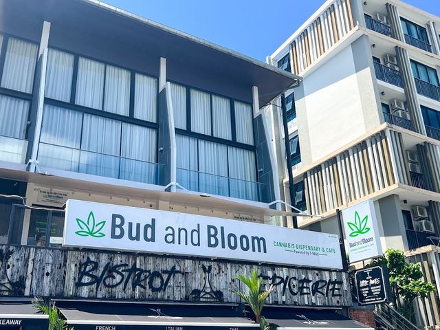 Bud and Bloom Bangtao - Medical Cannabis Dispensary storefront