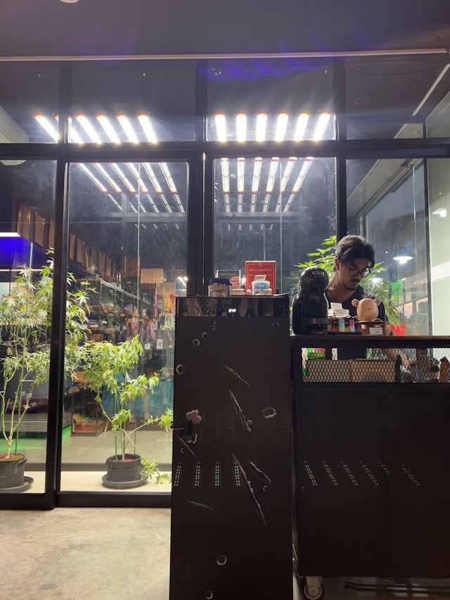 The Green Books — Cannabis dispensary & Weed shop storefront