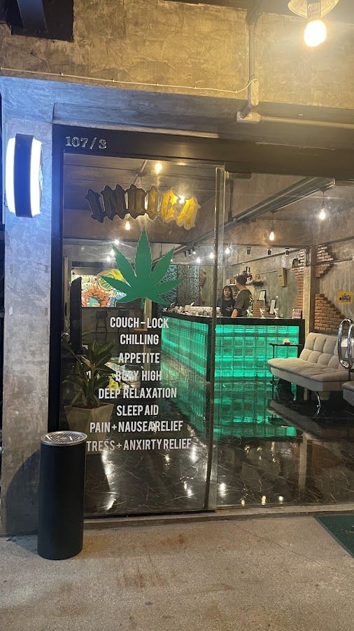 420 Route Surin Beach storefront