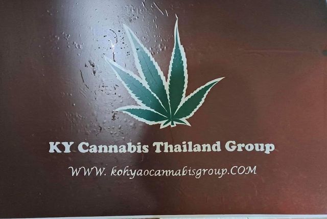 Cannabis Buddy storefront