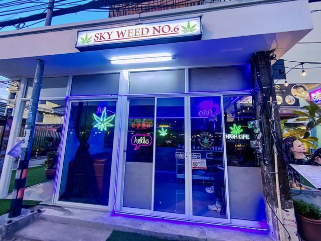 Sky Weed No.6 storefront