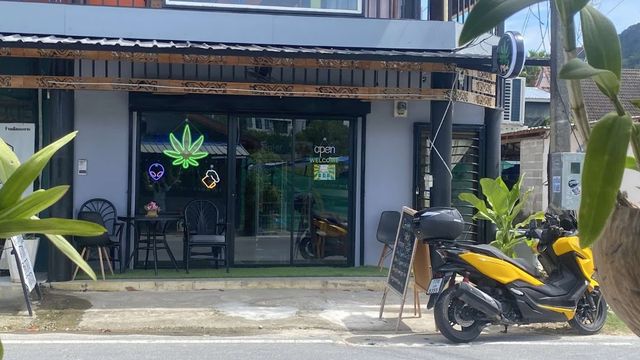 Green night Cannabis Shop storefront