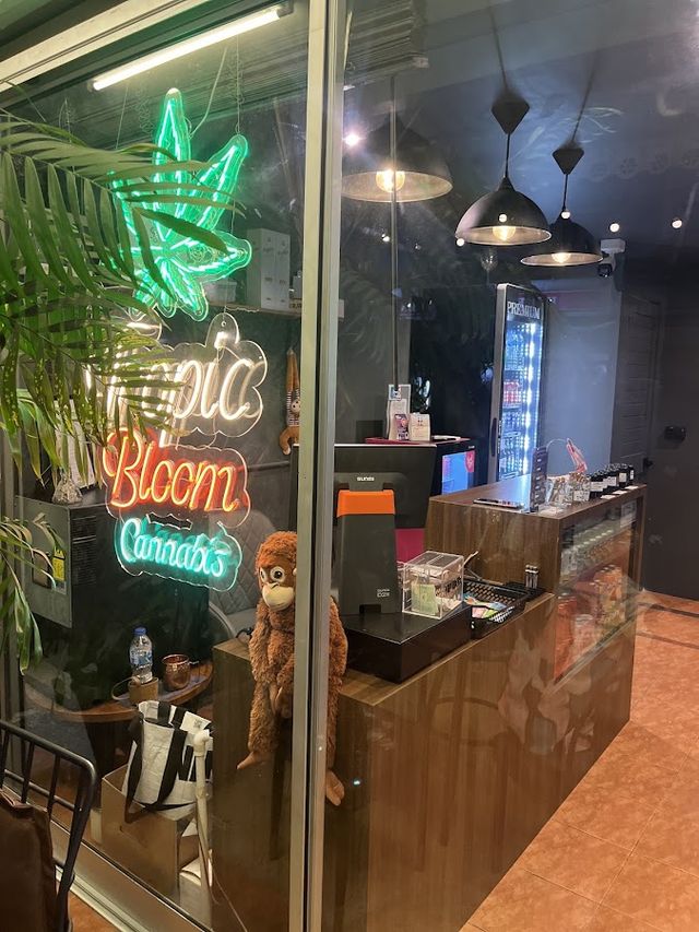 Tropic Bloom - Cannabis/Weed Shop & Lounge storefront