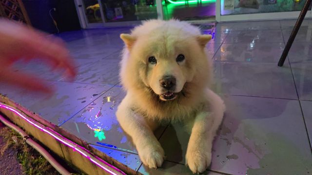 Phuket Cannabis storefront