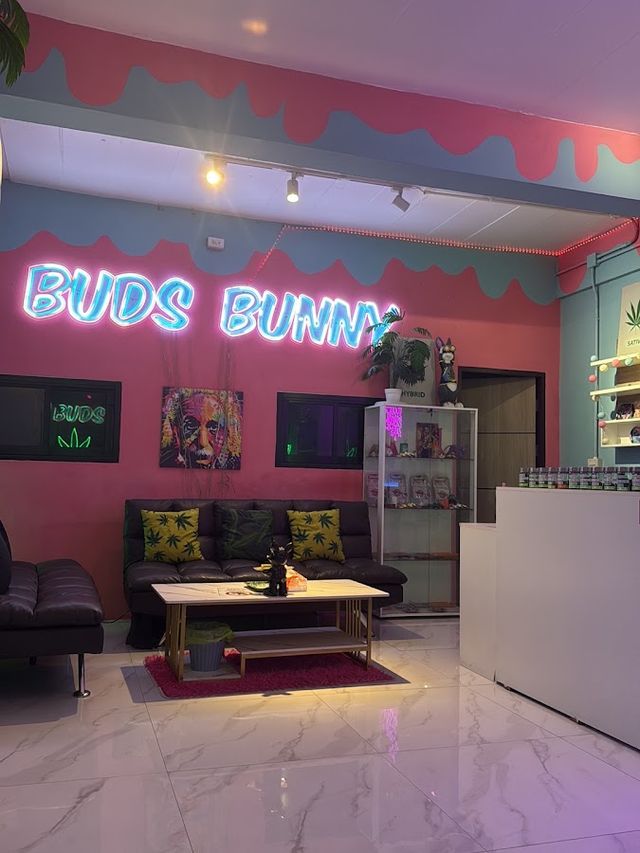 BUDS BUNNY CANNABIS | Weed shop | Dispensary storefront