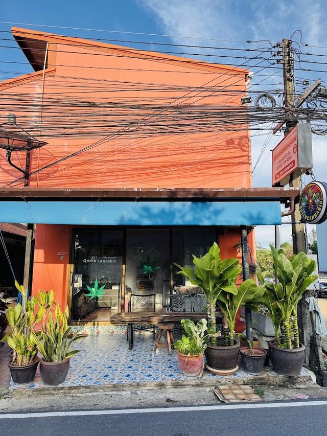 Queen Cannabis @Phuket Airport storefront