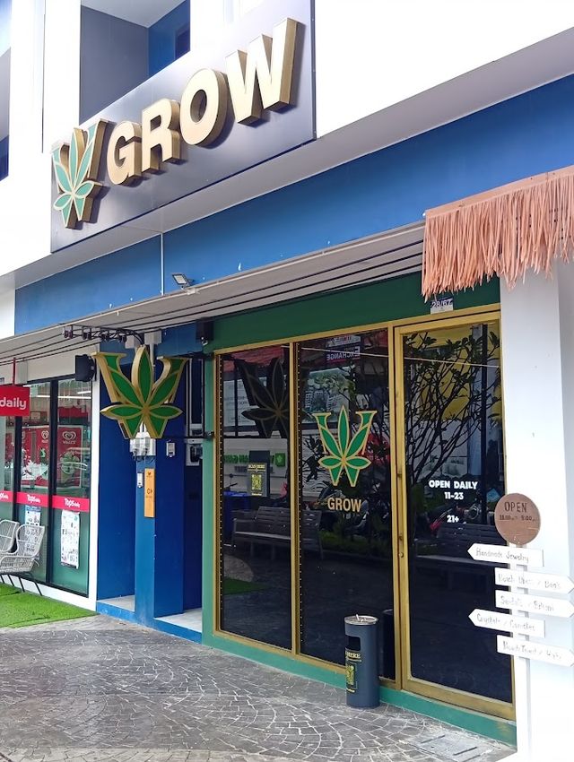 W Grow Premium Cannabis Dispensary & Weed shop - Naithon Beach storefront