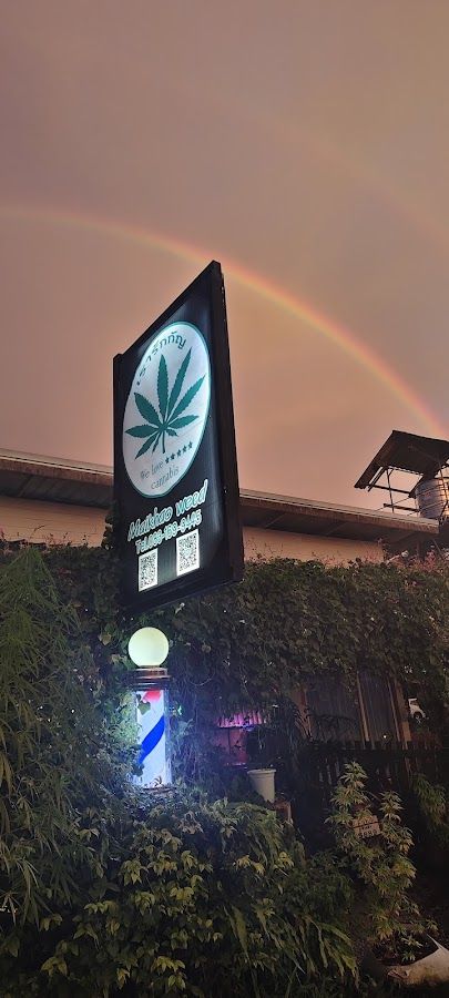 กัชชา ออเเกนิค Organic Cannabis Phuket storefront