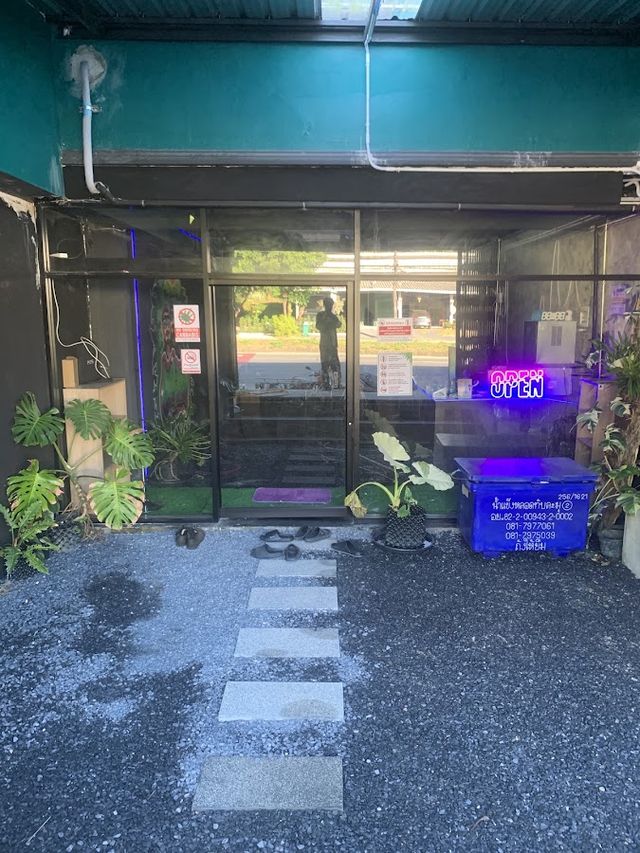 Only weed(Marijuana)(Cannabis) storefront