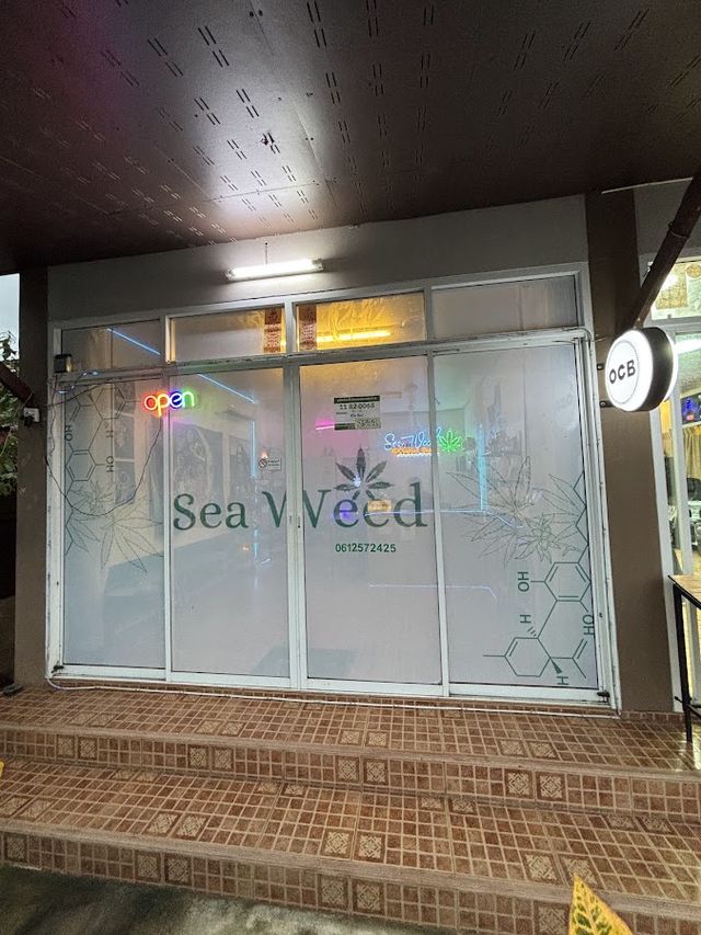 Sea Weed Canabis Shop storefront