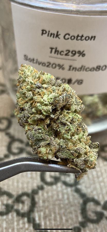 Cannabis OG 98 Shop (Home) storefront