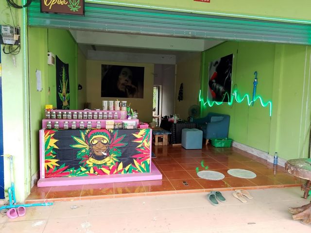 Lady Weed Shop storefront