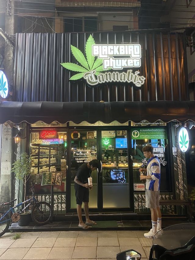 Blackbird Phuket Cannabis storefront