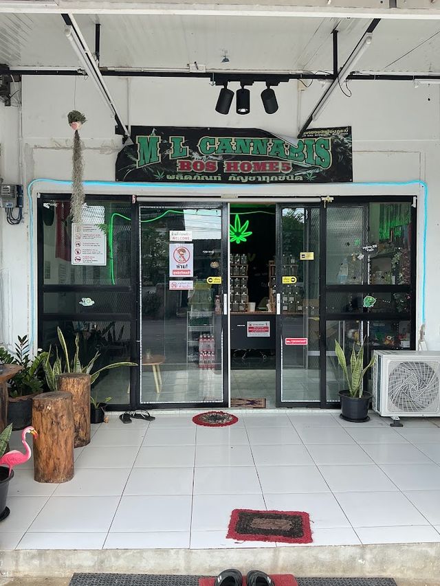 ร้านกัญชา M L CANNABIS Bos Home สาขา 5 storefront