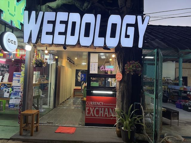 Weedology Cannabis Culture Phi Phi 1 storefront