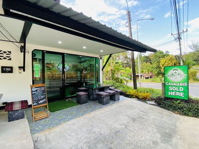 WHITE LILY cannabis dispensary & weed shop khlong Muang krabi. Klong muang Tubkaek storefront