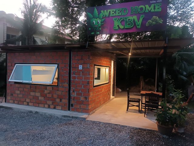 WEED HOME KBV storefront