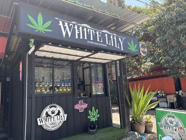 WHITE LILY cannabis dispensary & weed shop aonang storefront