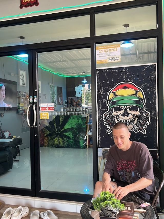 Rabbit cannabis shop2 storefront