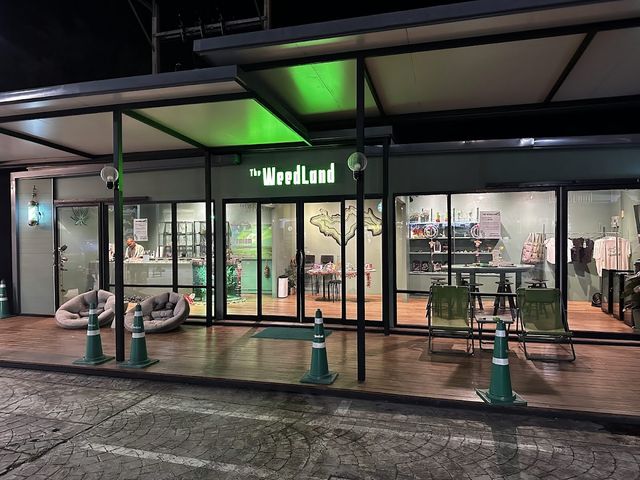 The WeedLand - Premium Cannabis & Weed Dispensary storefront