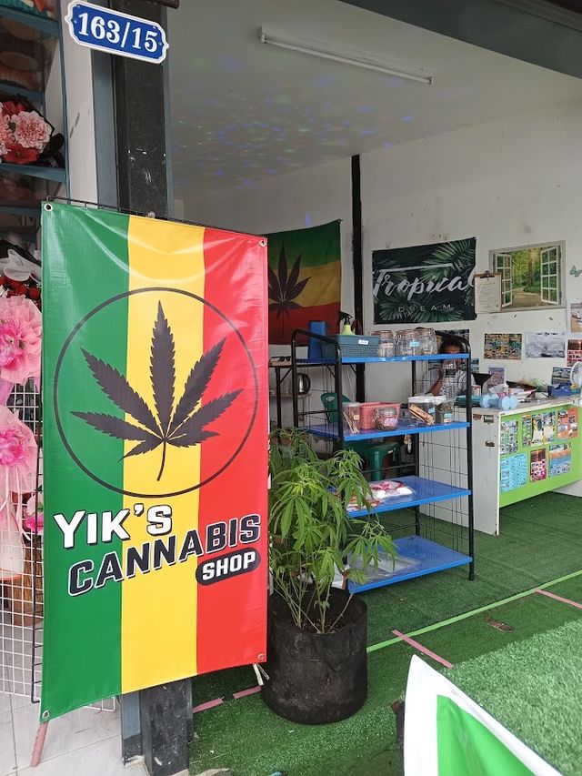 Yiks Cannabis storefront