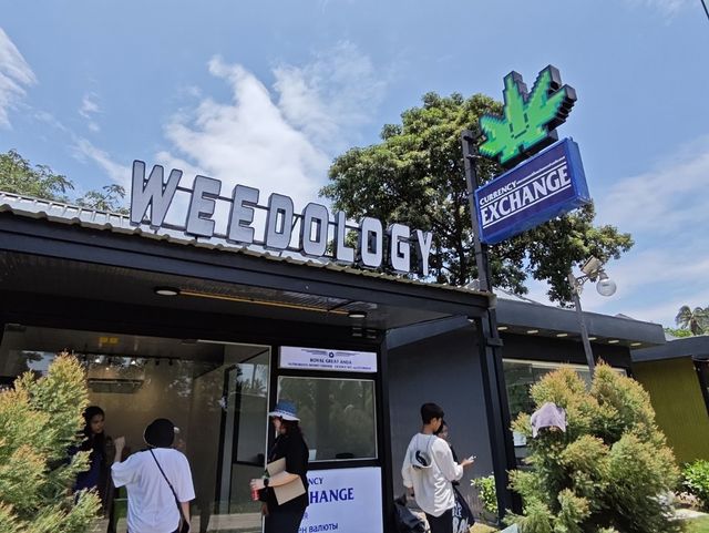 Weedology Cannabis Culture Railay storefront