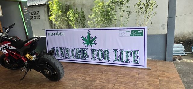 Klongthom cannabis storefront