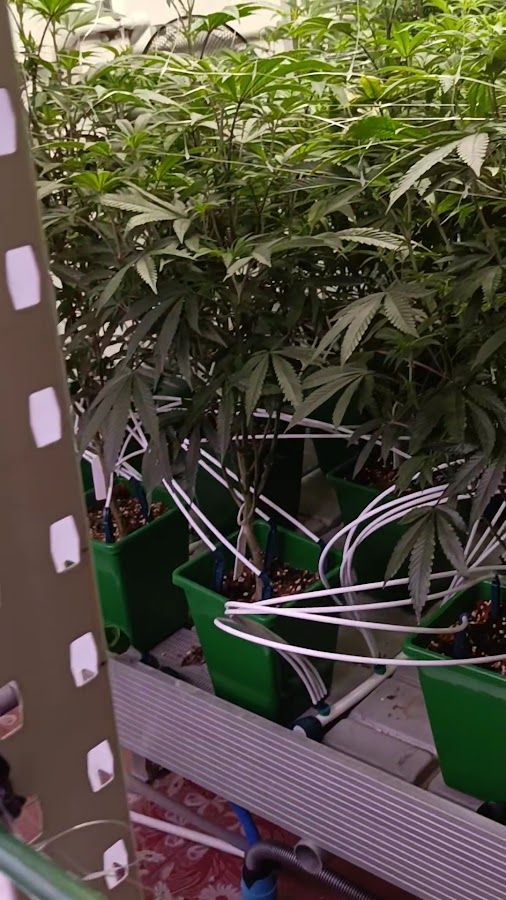 High Town2 cannabis storefront