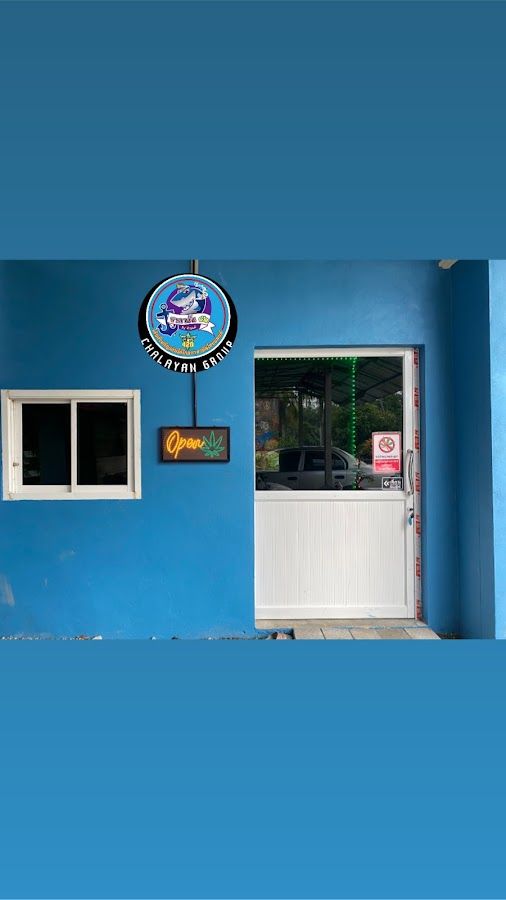ร้านขายกัญชา Station 420 (Cannabis Shop) storefront