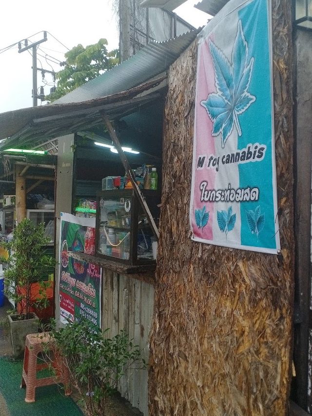 มีนMtoy cannabis storefront