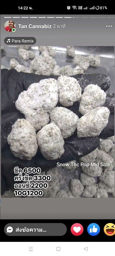 มีกัญ 420 storefront in Nakhon Si Thammarat