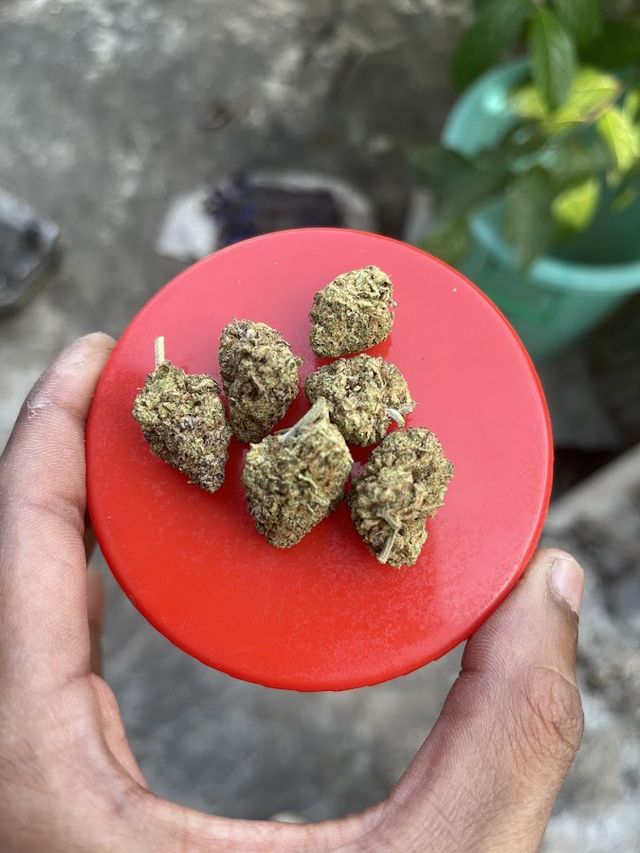 THC Lap 420 storefront in Nakhon Si Thammarat